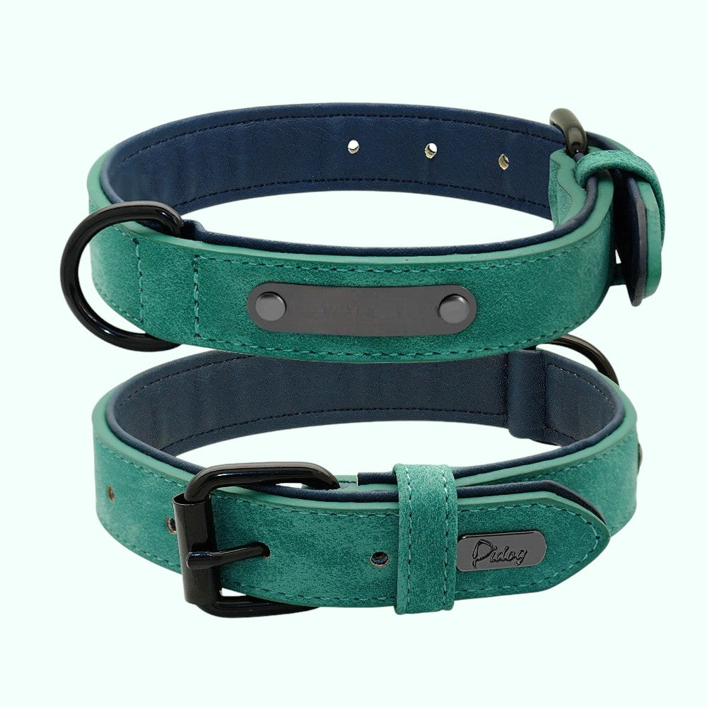 Collar de Cuero Acolchado para Perros – Confort y para cualquier raza