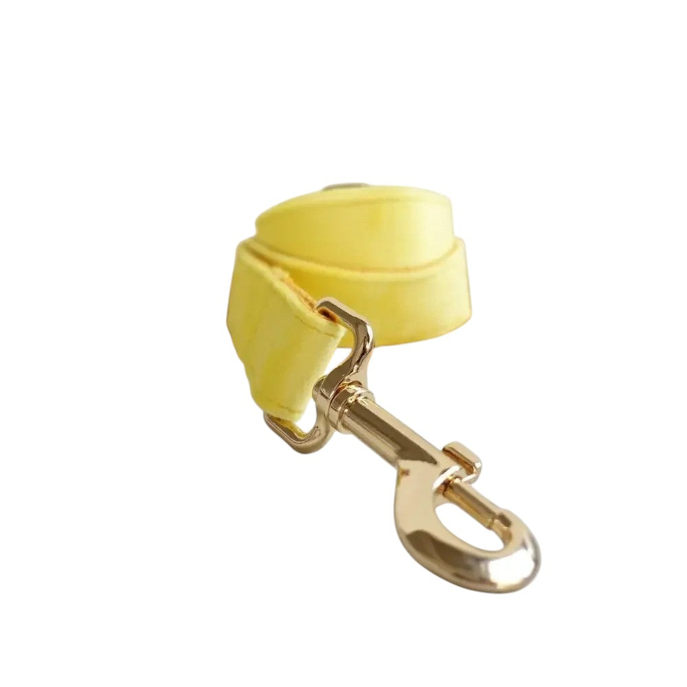 Set de Collar y Correa de Nyon para Perros Amarillo- Elegancia y Comodidad