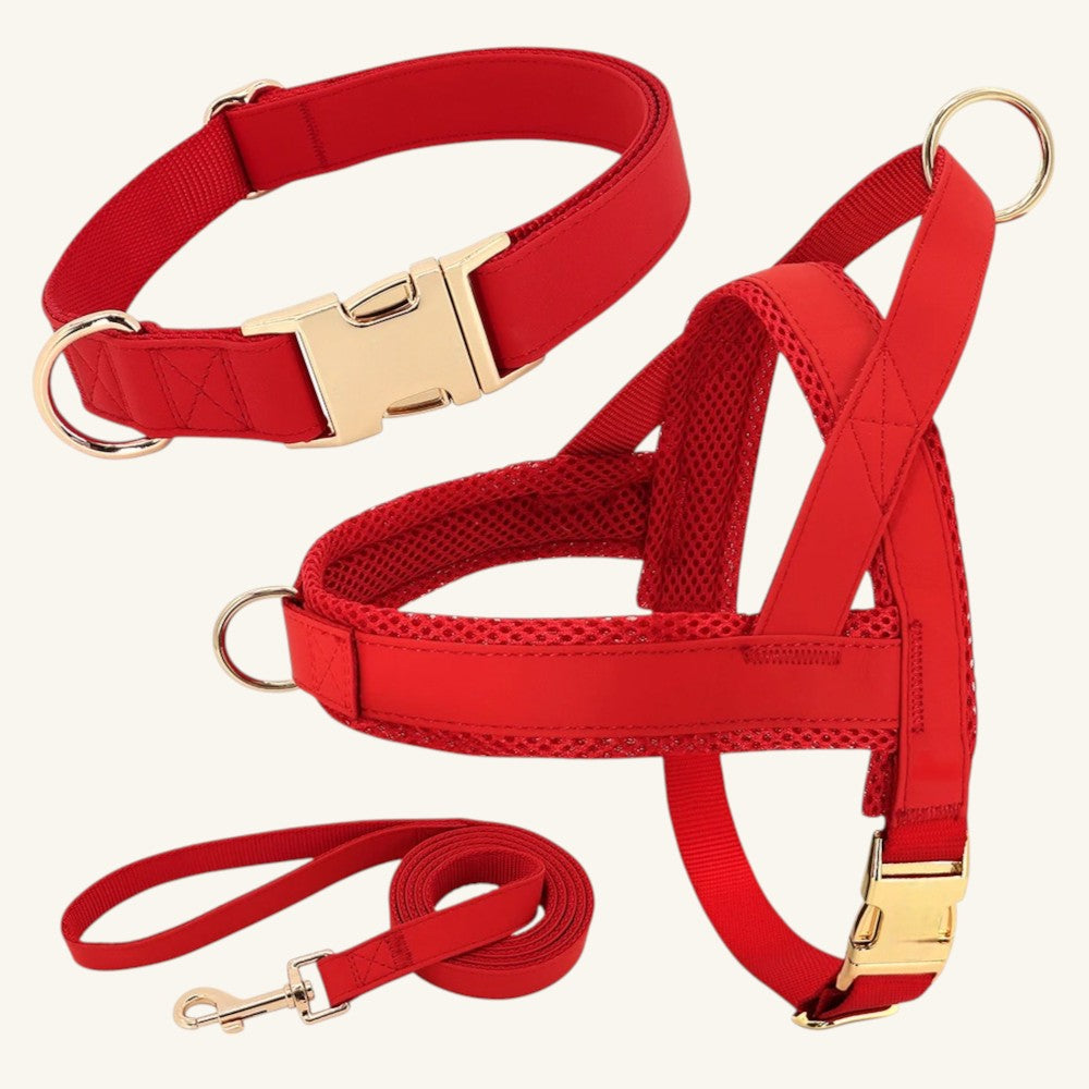 Conjunto Rojo de Árnes, Correa y Collar de Nylon y Cuero para Perros