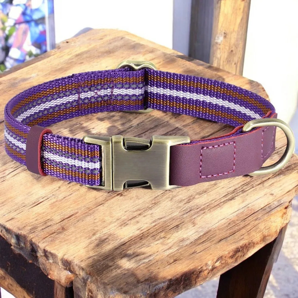Collar de Nylon y Cuero para Perros
