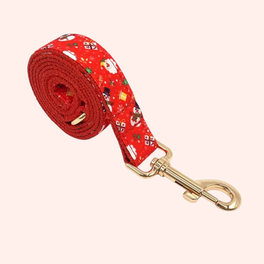 Collar y Correa de Nylon Rojo para Perros – Seguridad y Estilo en Cada Paseo
