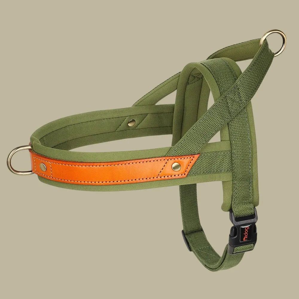 Árnes Perro Antitirones