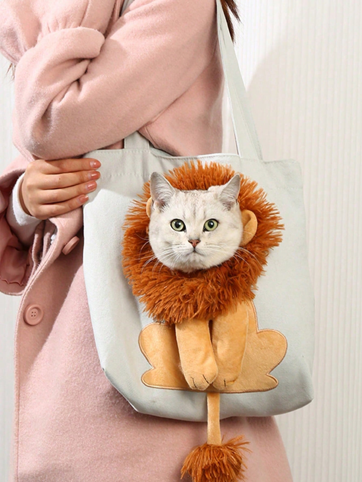 Bolso de Lona con Forma de León para Gatos - portada