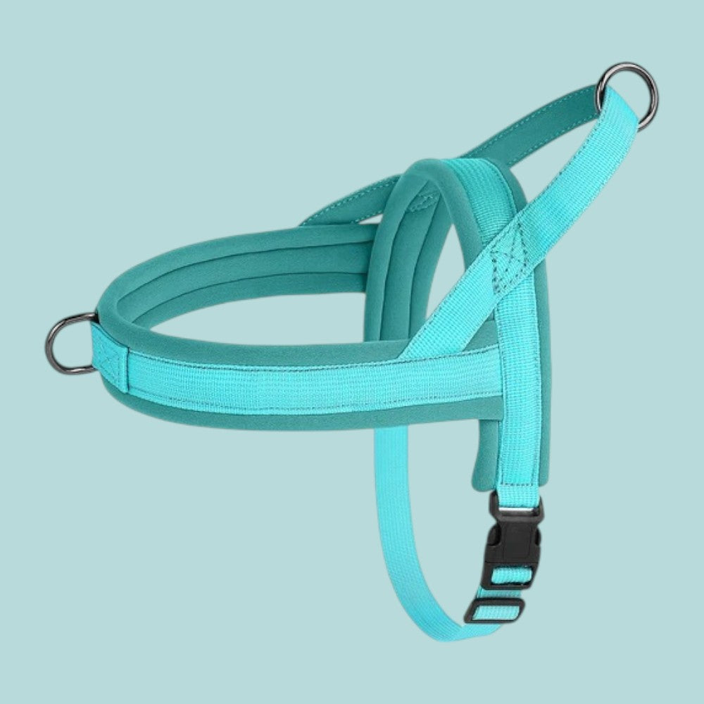 Arnés Antitirones Azul de Nylon para Perros