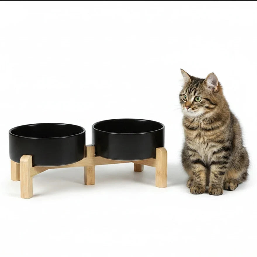 Comedero para gatos de cerámica