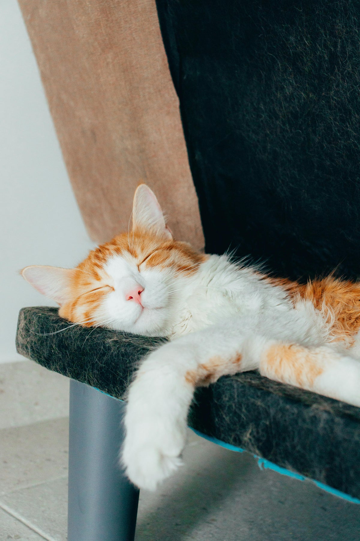 Camas para Gatos