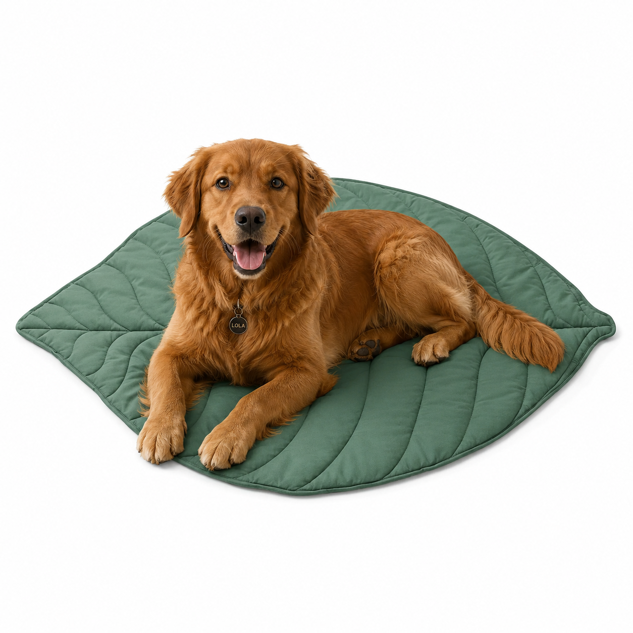 Cama Alfombra con Diseño de Hoja: Confort Natural para tu Mascota