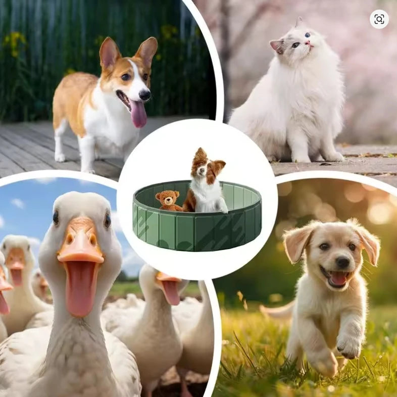 Piscina Plegable para Perros con Desagüe Rápido