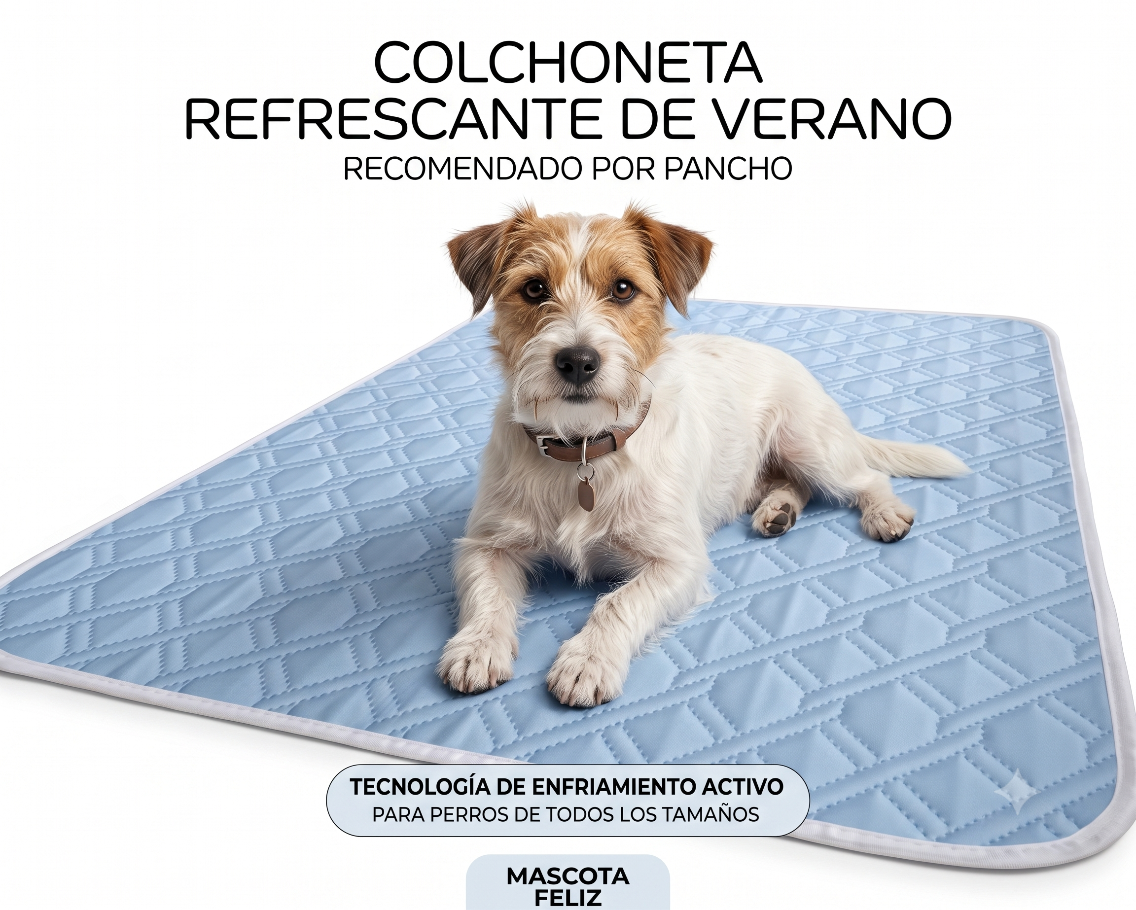 Alfombrilla Refrescante para Perros: Alivio Inmediato y Frescura