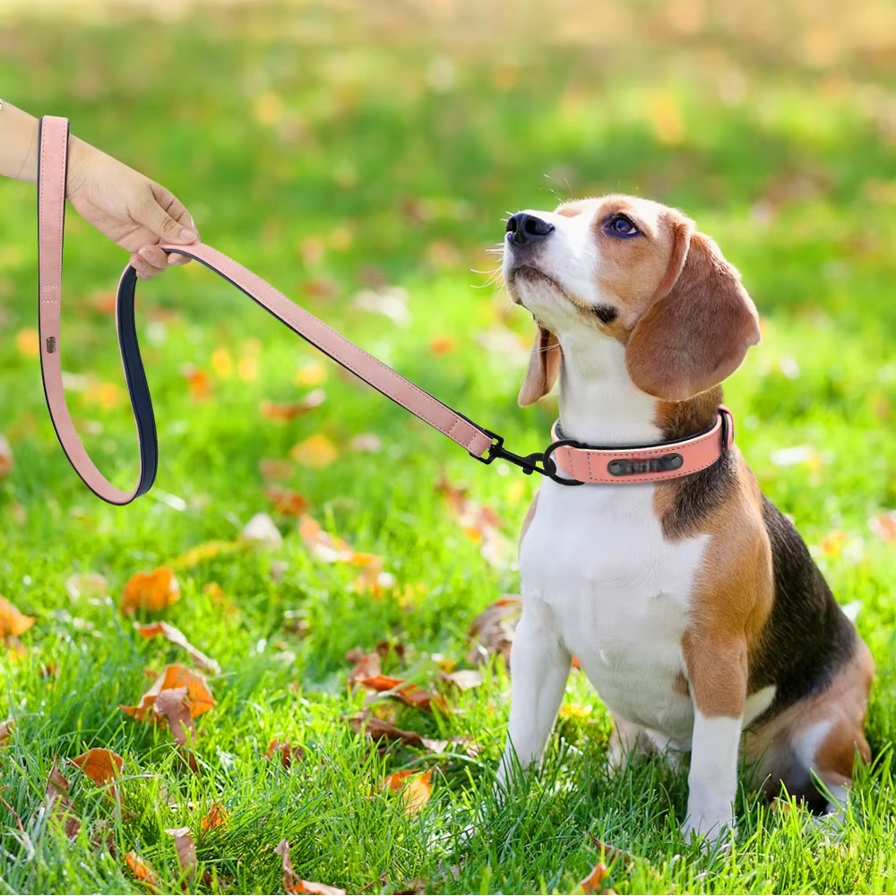 Set Rosa de Collar y Correa de Cuero para Perros – Máximo Estilo