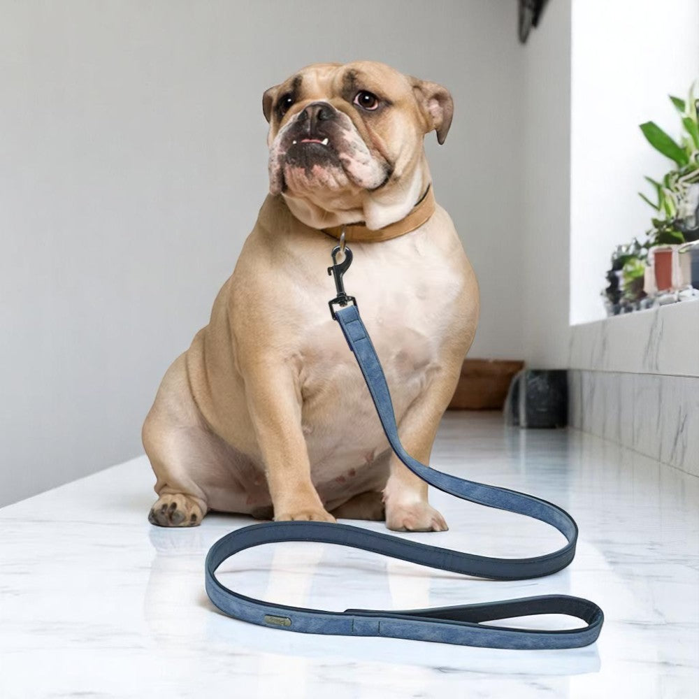 Correa de Cuero Premium para Perros Pequeños y Medianos Azul