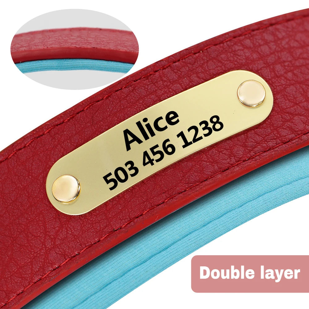 Collar de Piel Acolchado con Placa Grabada Personalizada