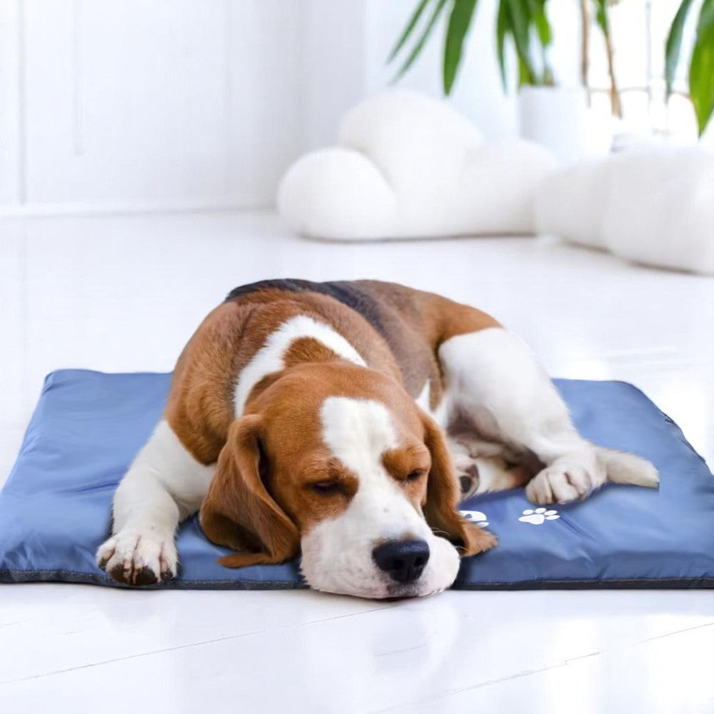 Cama Impermeable y Lavable para Perros y Gatos | Máxima Comodidad Todo el Año