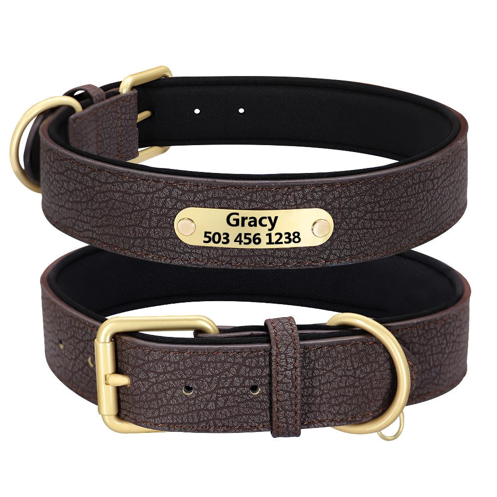 Collar de Piel Acolchado con Placa Grabada Personalizada