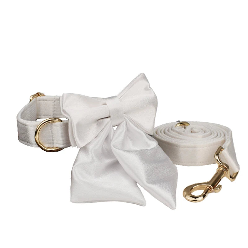 Set de Collar, Arnés, Correa y Lazo Personalizable Estampado