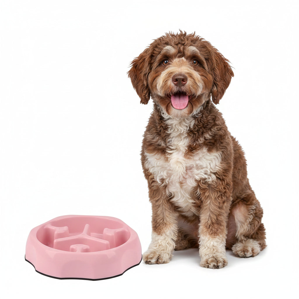Comedero Antiahogo de Colores para Perros y Gatos