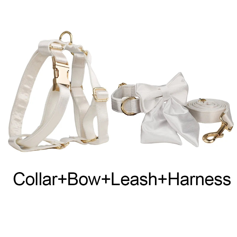 Set de Collar, Arnés, Correa y Lazo Personalizable Estampado