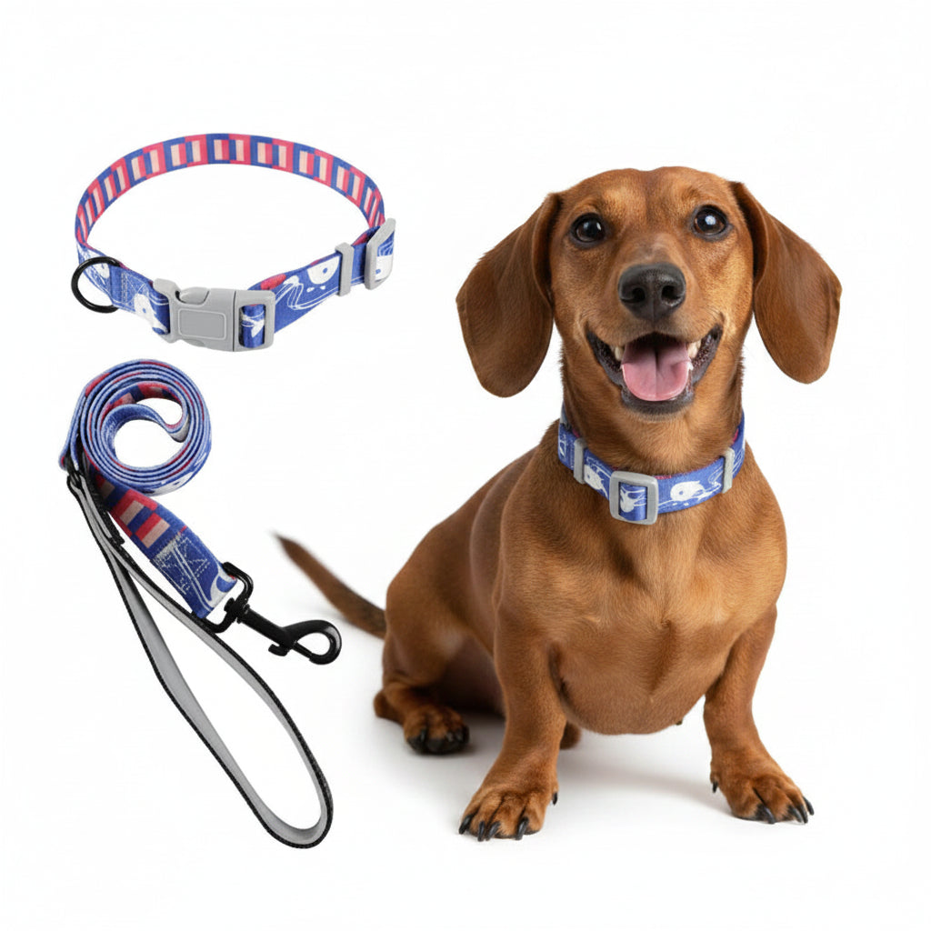 Blue Print Dog Harness & Collar Set