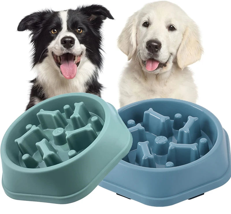 Comedero Antiahogo para Perros Pequeños y Medianos