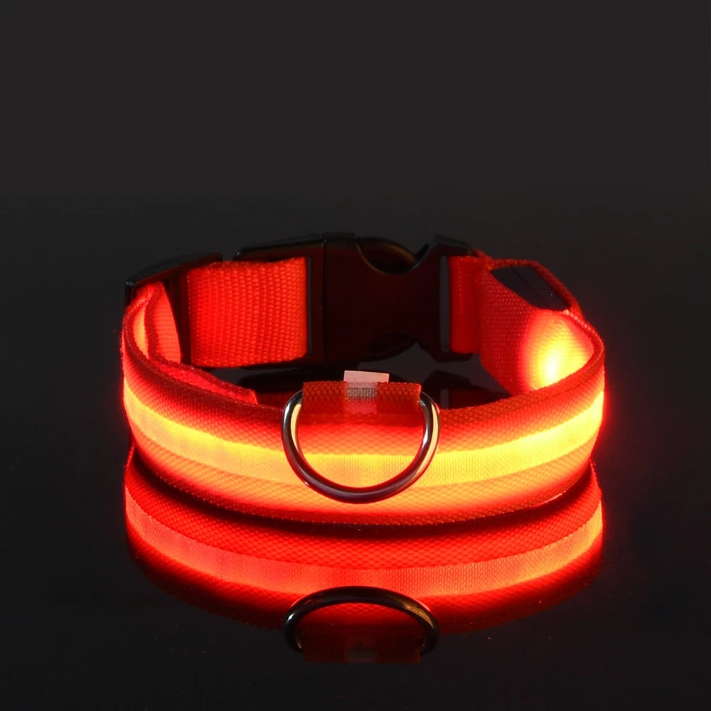 Collar LED Luminoso de Seguridad para Perros