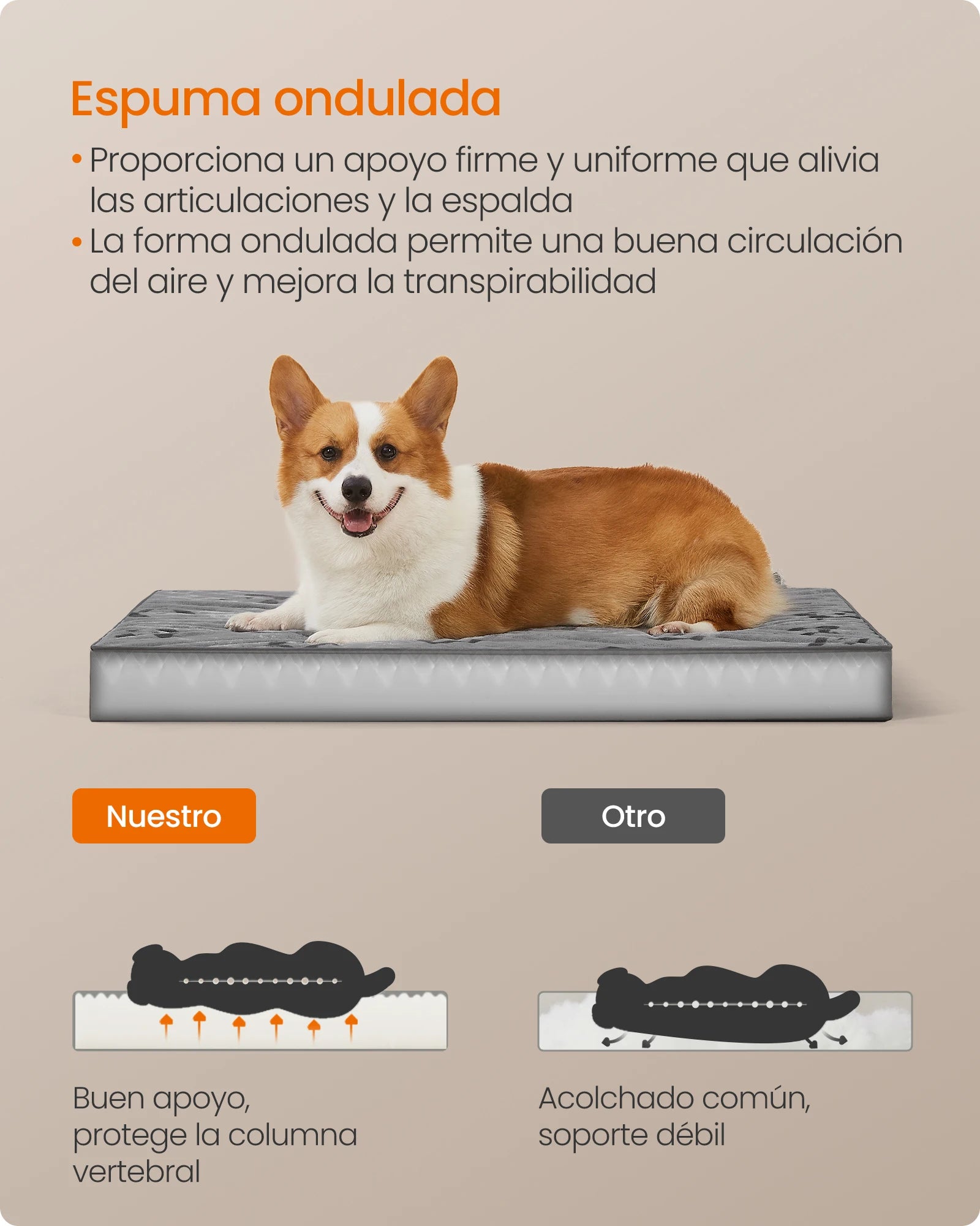 Cama Ortopédica Feandrea para Perros Medianos