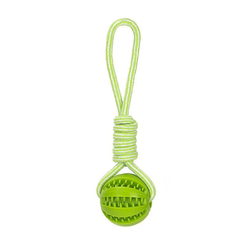 Diversión interactiva y salud: pelota de goma con cuerda para perros