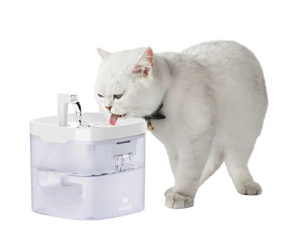 Automatic Water Fountain with Dual Flow: Fresh and Fun Hydration