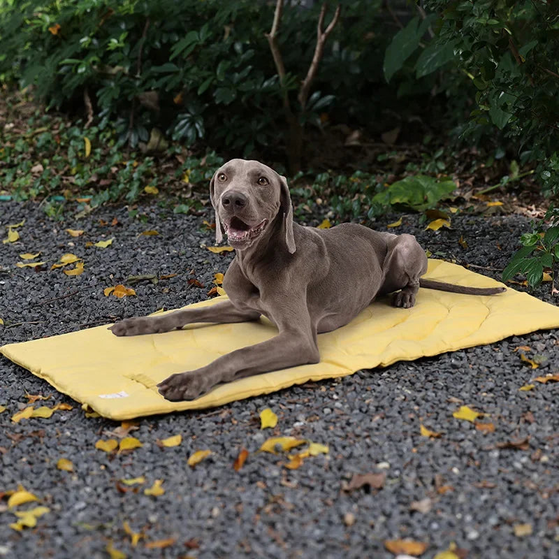 Cama-Manta Plegable para Perros: Confort Impermeable y Térmico
