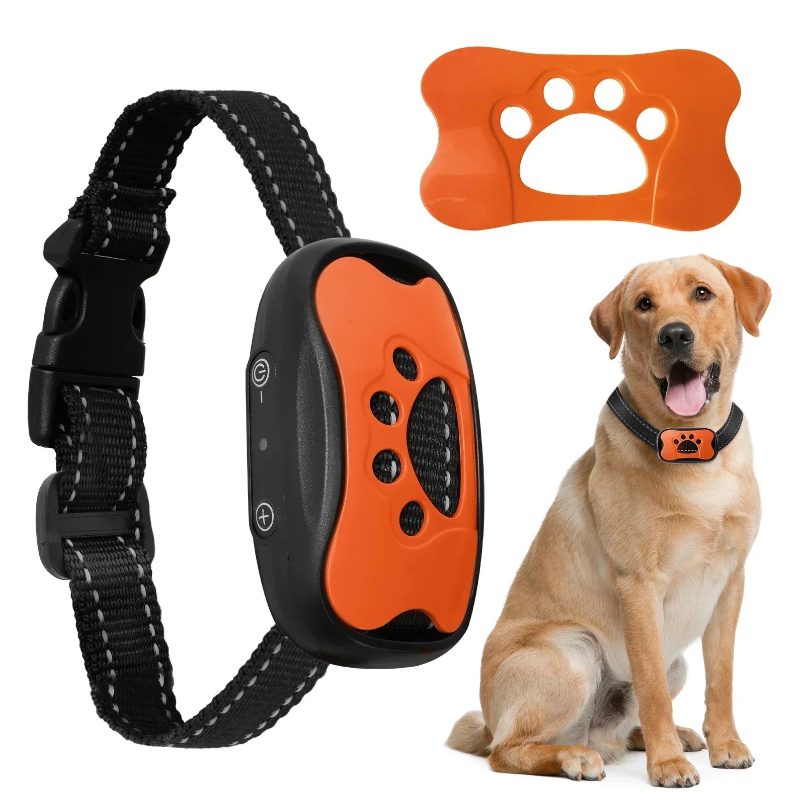 Controla los ladridos con seguridad: collar antiaullidos inteligente para perros
