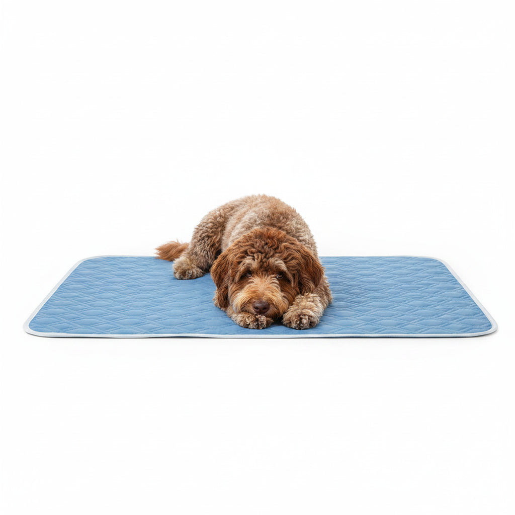 Set de 2 Alfombrillas Refrescantes para Perros