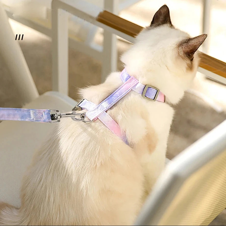 Harnais anti-fugue pour chat avec laisse - Respirant
