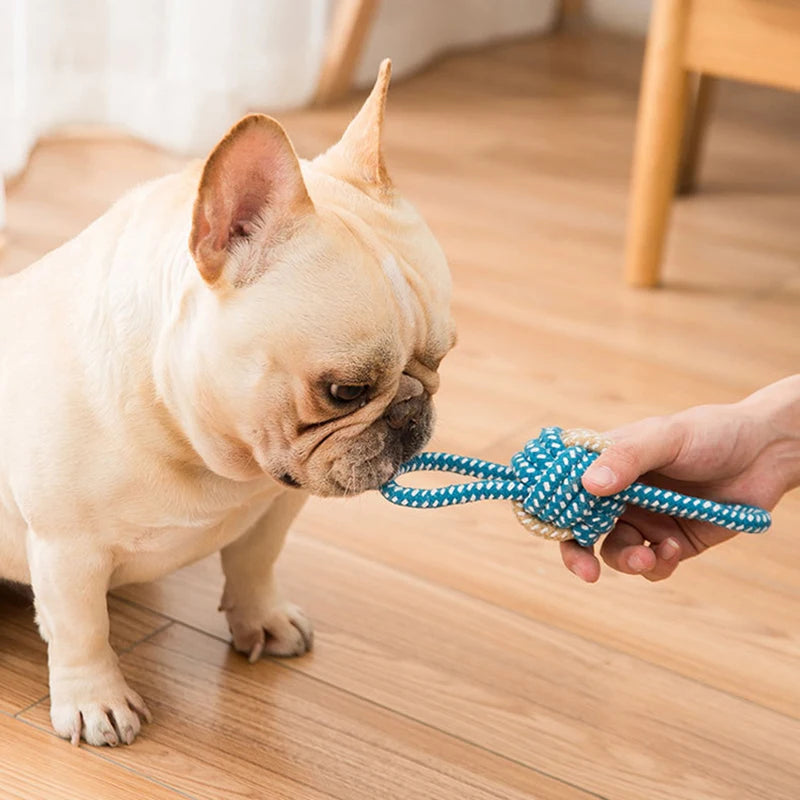 Pack de 8 Juguetes de Cuerda de Algodón para Perros – Diversión y Salud Dental