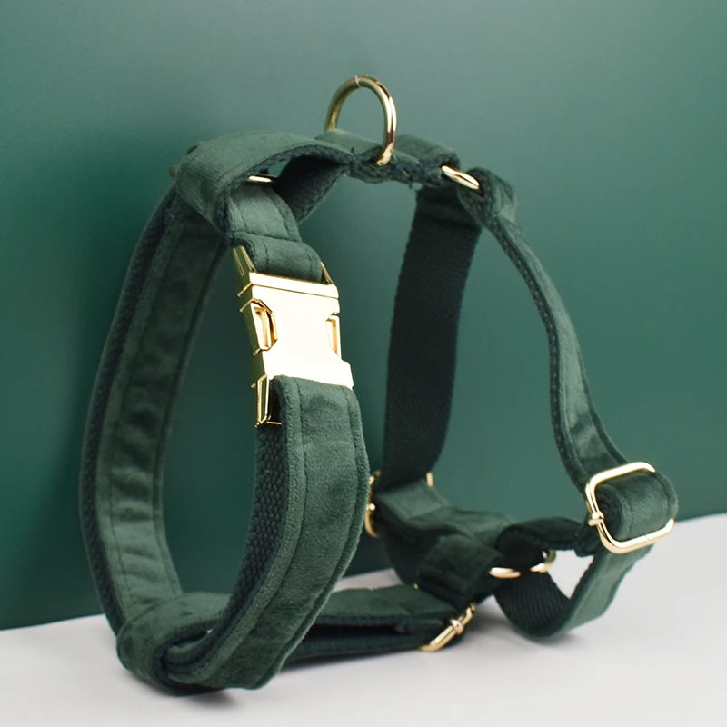 Set de Collar, Arnés y Correa de Terciopelo Personalizable