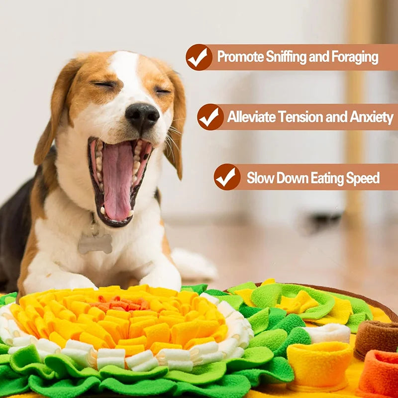 Alfombra de Olfato Interactiva – Estimulación Mental y Alimentación Saludable