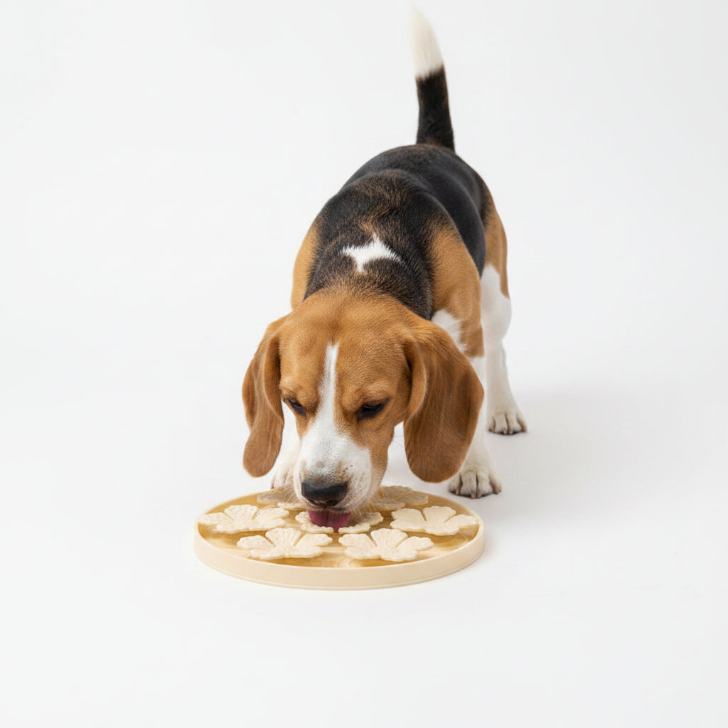 Alfombra de Silicona Lamedora para Perros