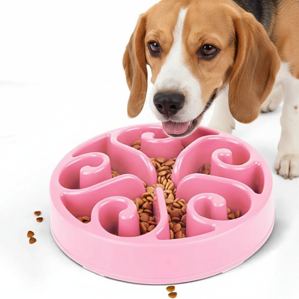 Comedero Antivoraz para Perros Grandes, Medianos y Pequeños