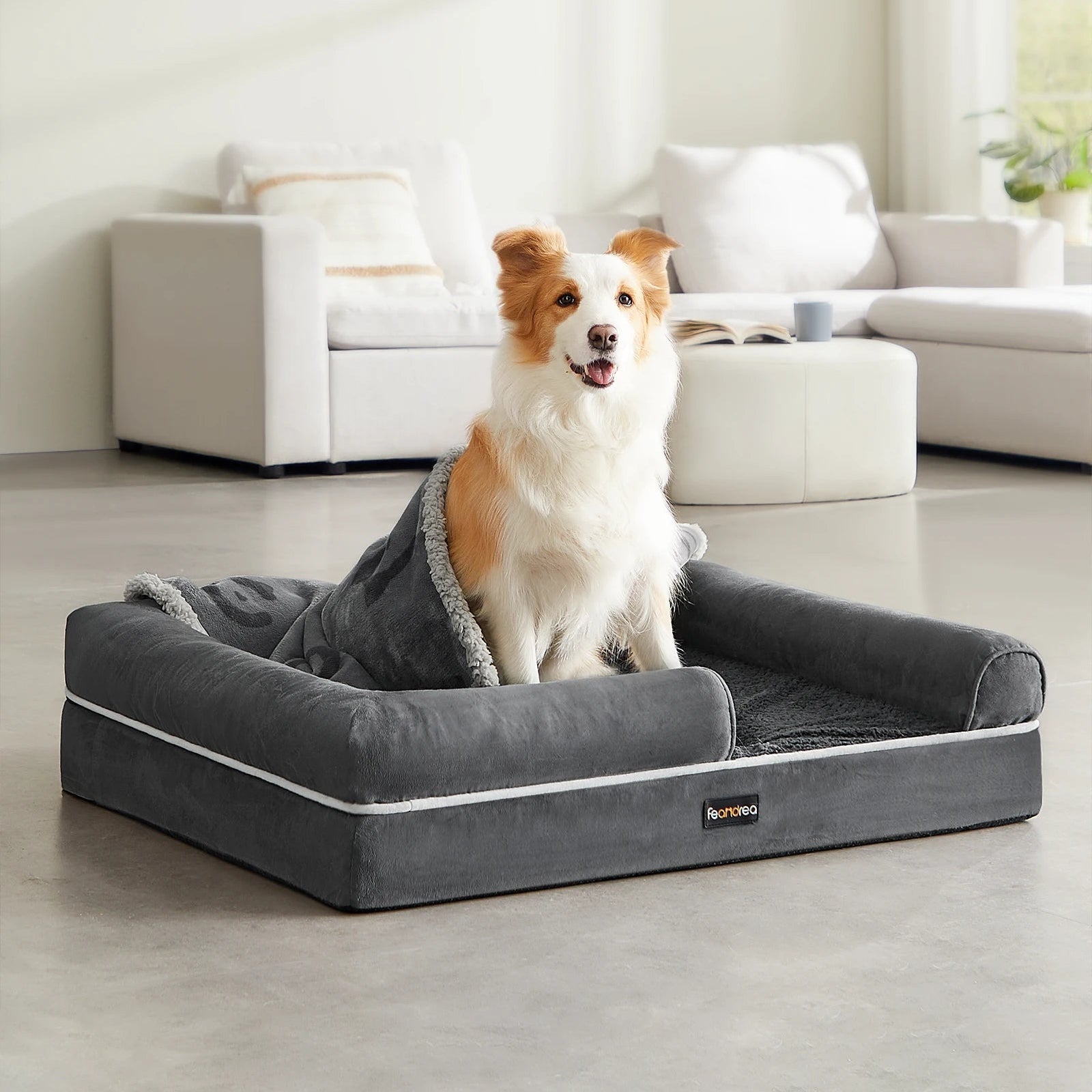 Cama Ortopédica con Bordes Elevados: El Sofá de Lujo para tu Mascota
