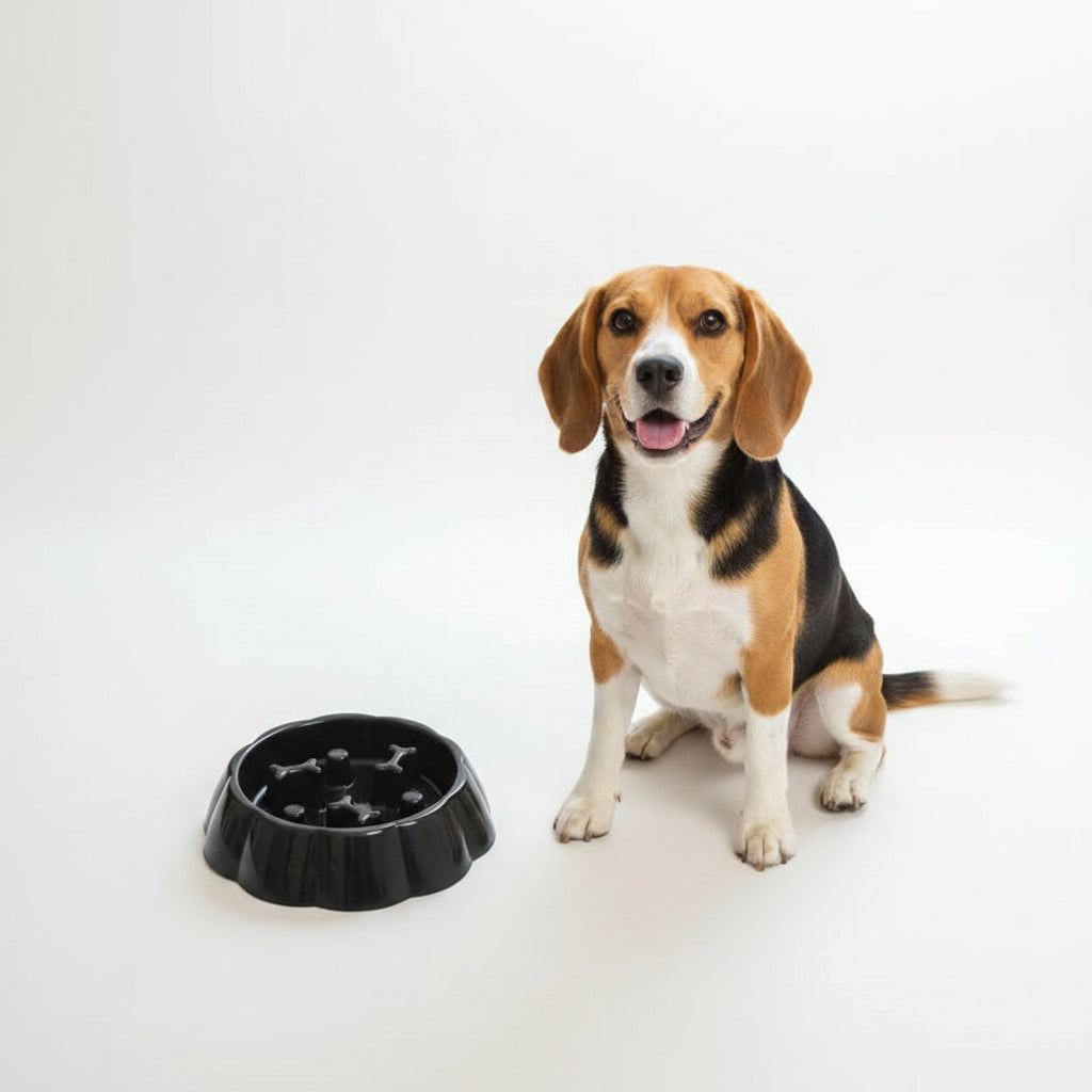 Comedero Antiahogo de Colores para Perros y Gatos