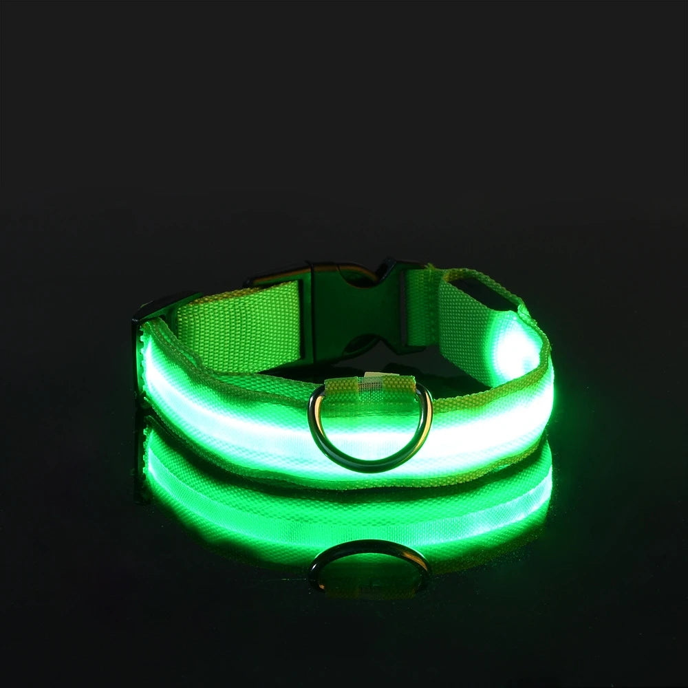 Collar LED Luminoso de Seguridad para Perros