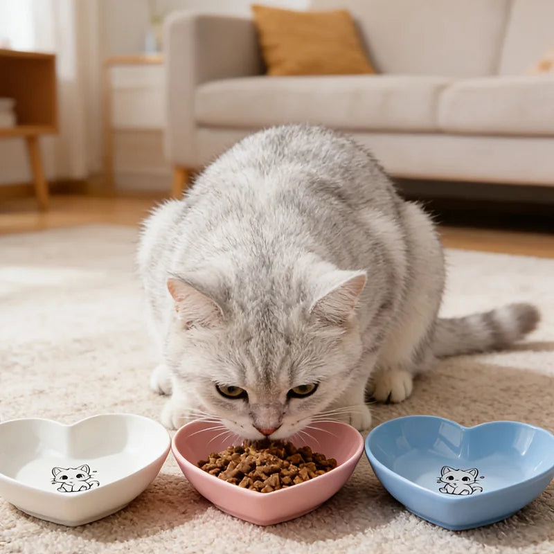 Set de 3 Comederos Planos para Gatos