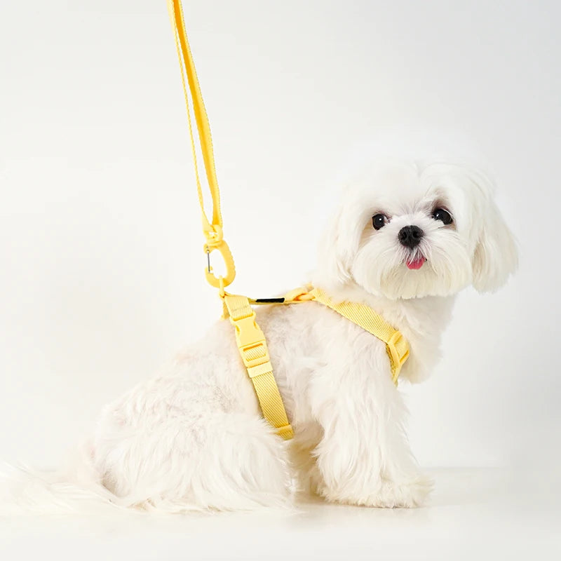 Set de Arnés, Collar y Correa Ajustable para Perro Pequeño