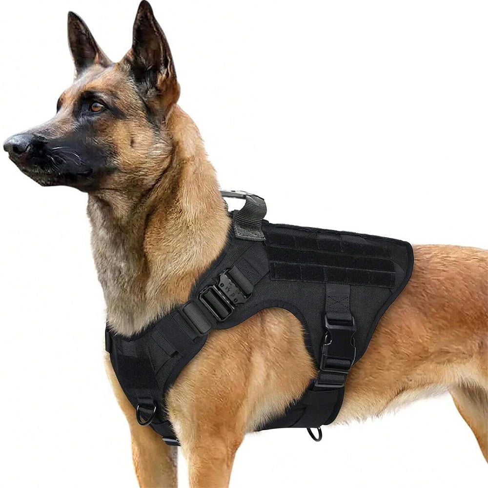 Arnés Táctico Militar para Perros con Sistema MOLLE - Protección Completa