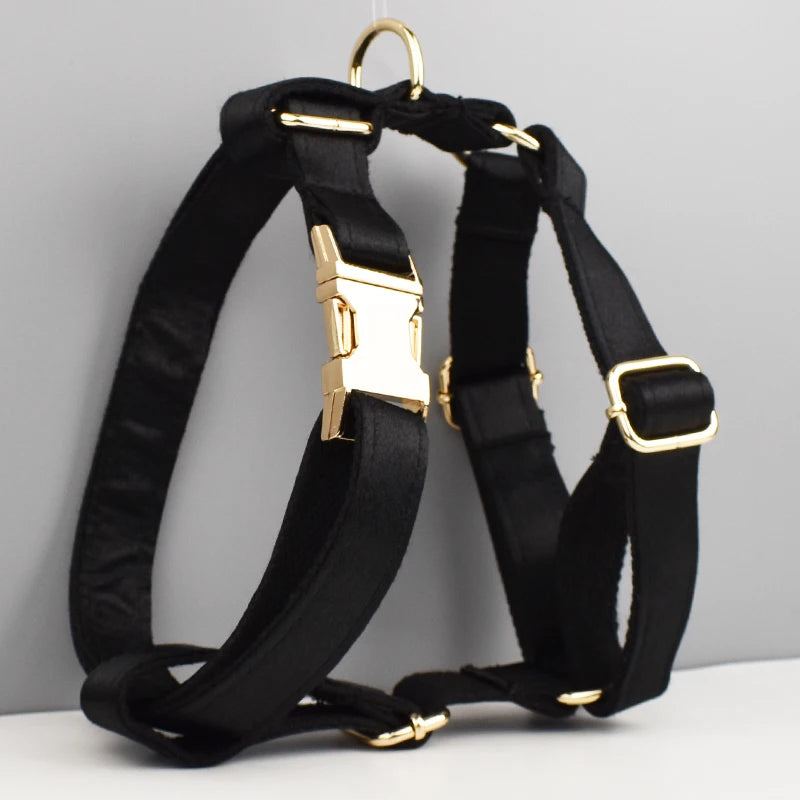 Set de Collar, Arnés, Correa y Lazo Personalizable de Lujo