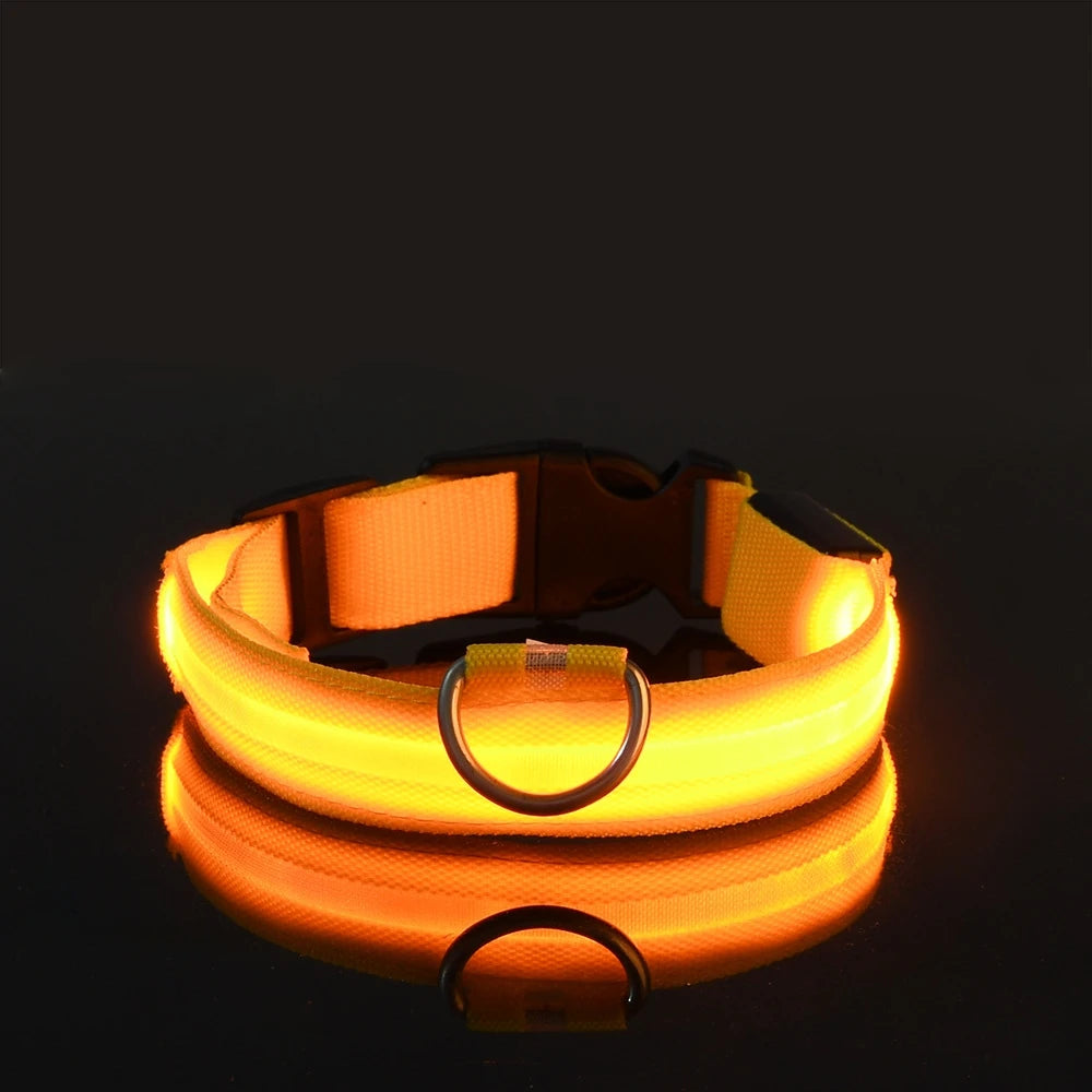 Collar LED Luminoso de Seguridad para Perros