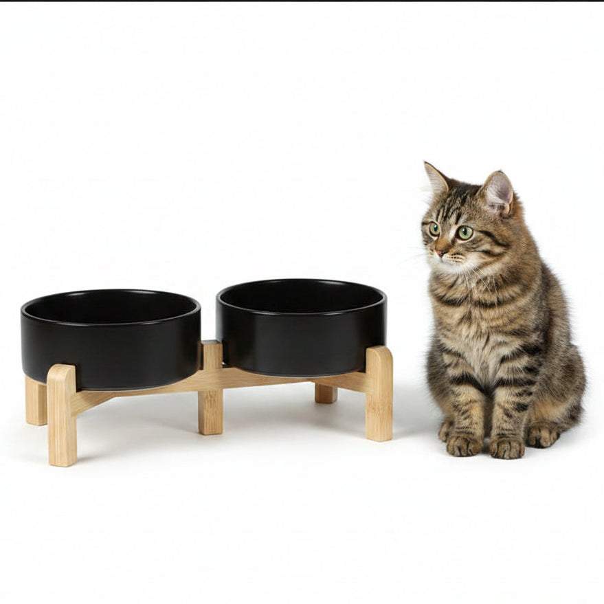 Comedero Elevado de Cerámica para Perros - Colores Básicos