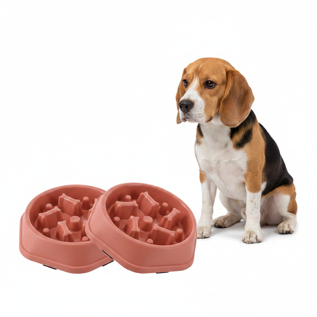 Comedero Antiahogo para Perros Pequeños y Medianos