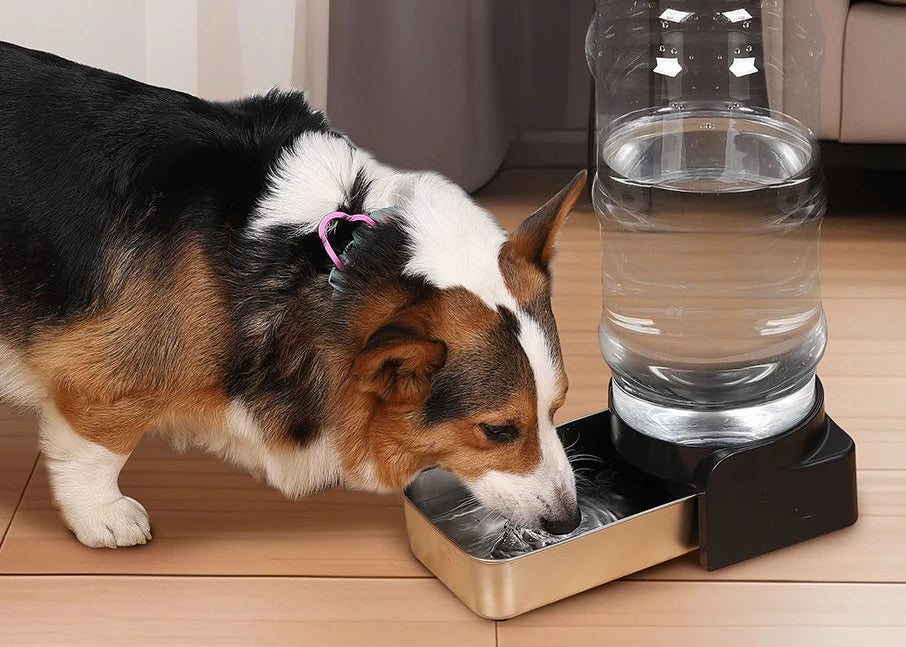 Dispensador Automático de Agua y Comida para Perros y Gatos – Grande, Práctico y Duradero