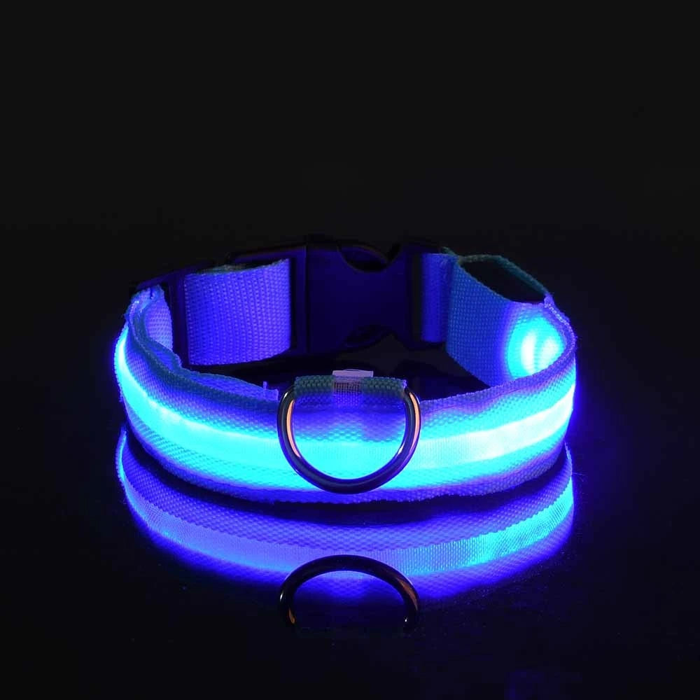 Collar LED Luminoso de Seguridad para Perros