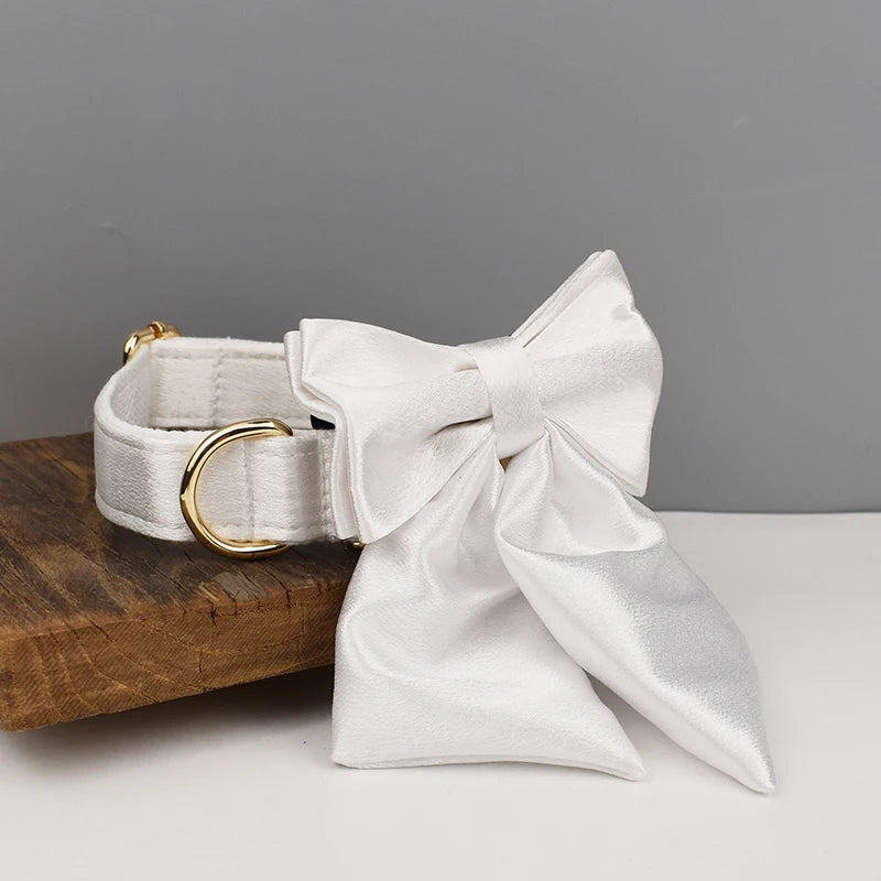 Set de Collar, Arnés, Correa y Lazo Personalizable Estampado
