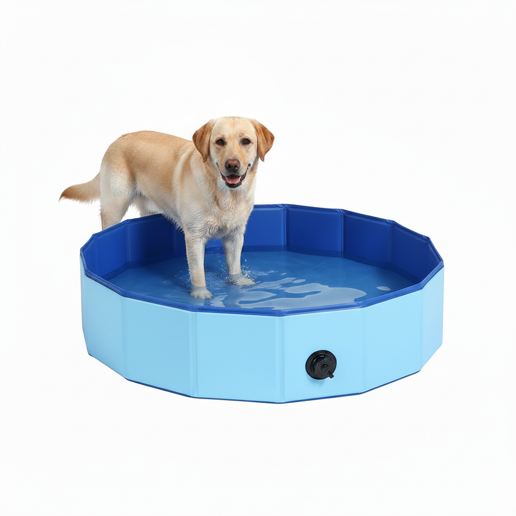 Bañera Plegable para Perros de Colores